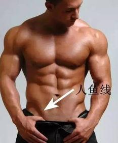 男生人鱼线图片